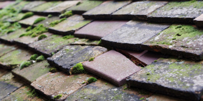 Marlow Common roof repair costs